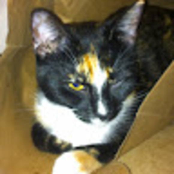 Meet your Posher, Laura - Picture 1 of 1